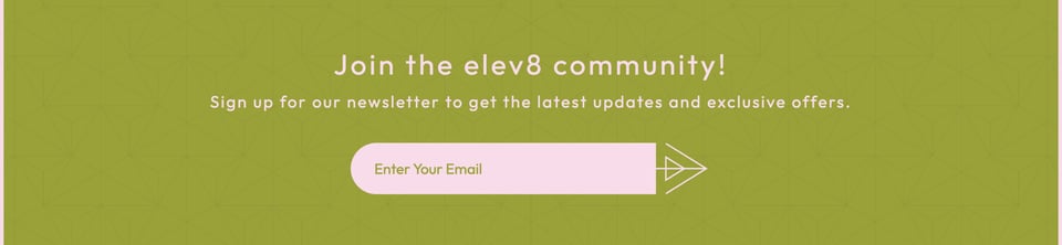Newsletter section on Elev8 H2O section design