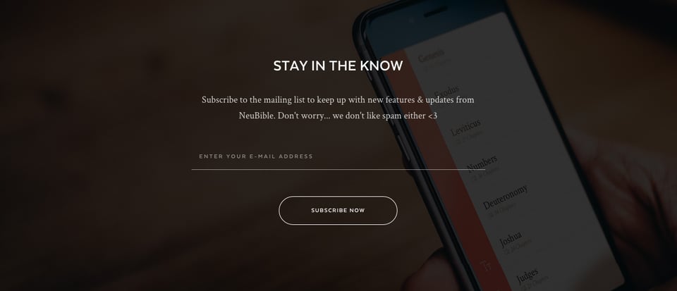 Newsletter section on NeuBible section design