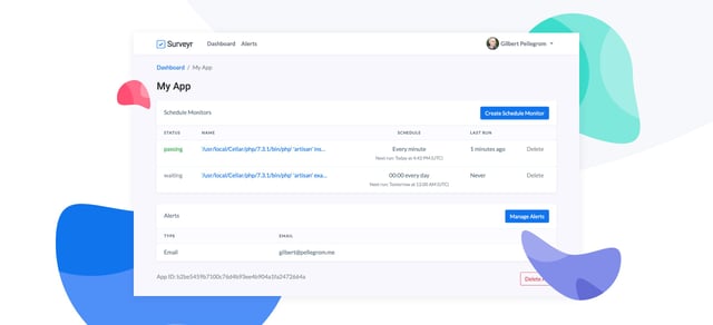 Surveyr Screenshots Section