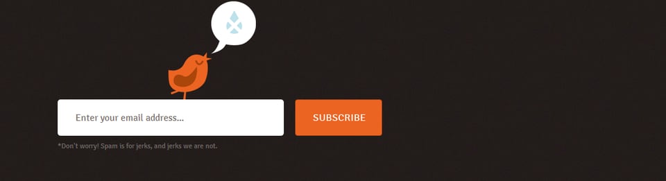Newsletter section on DryThemes section design