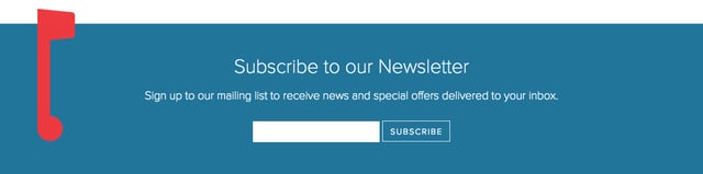 Minisites Newsletter Section