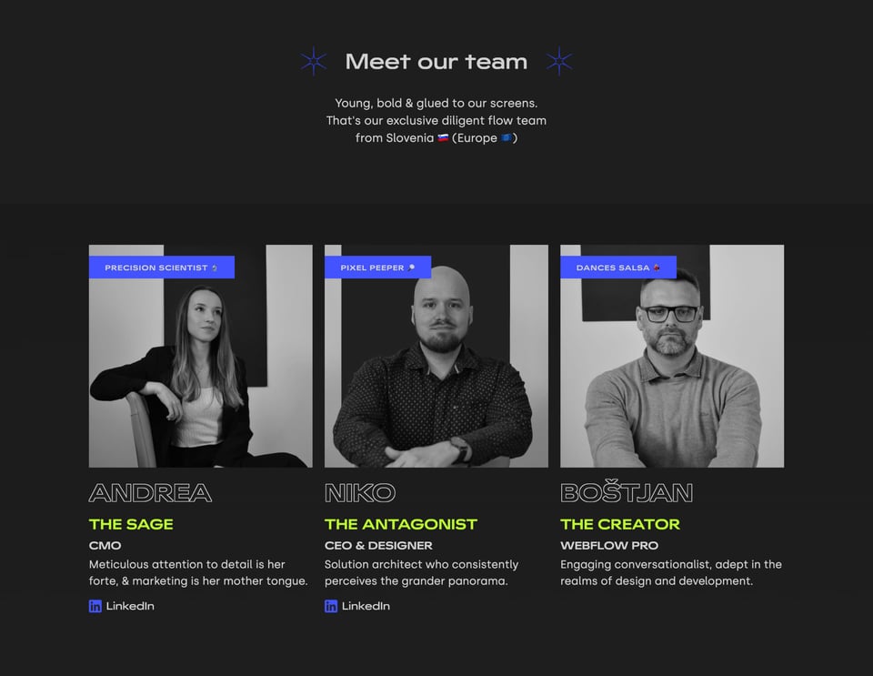Team section on Diligent flow section design