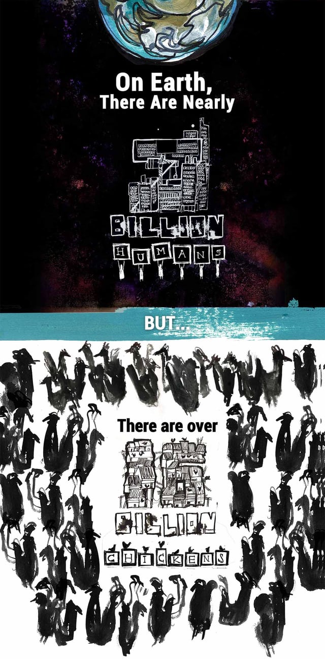 Free The Chicken Infographics Preview