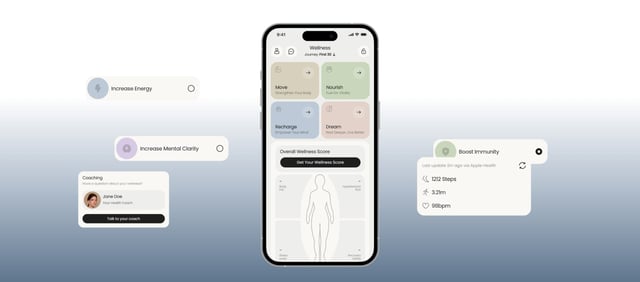 Wellifize Screenshots Preview