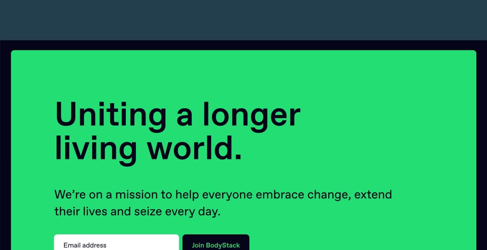 Newsletter section on BodyStack section design