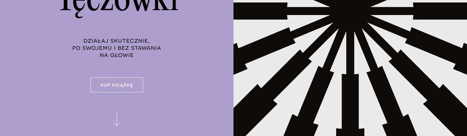 Scroll Hint section on Metoda Teczowki by Jacek Klosinski section design