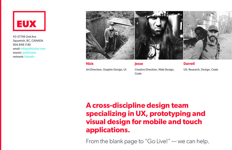 Team section on EUX section design
