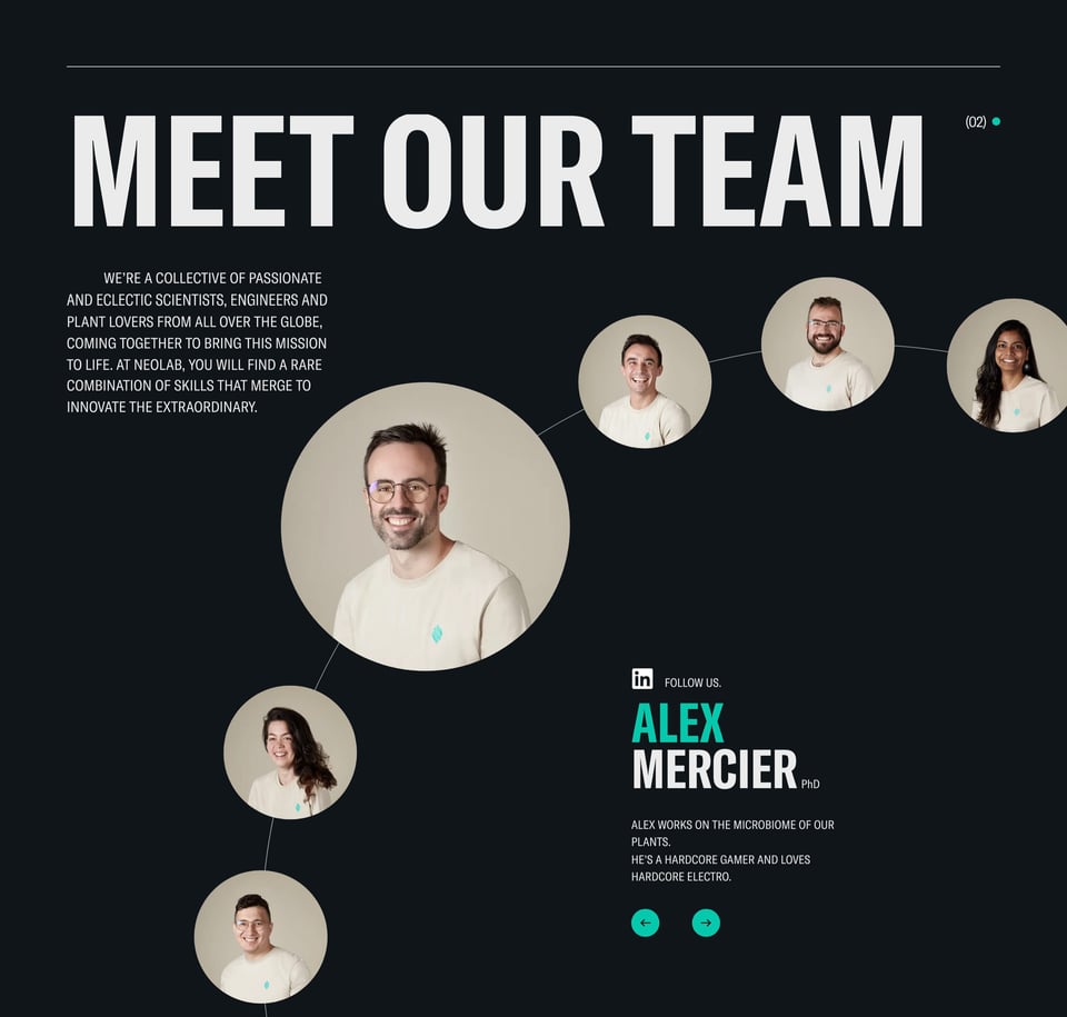 Team section on Neoplants section design
