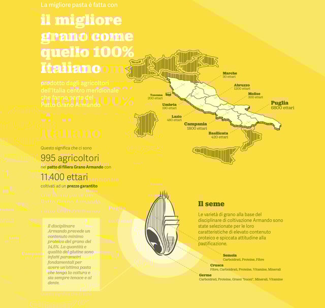 Migliore Pasta Infographics Preview