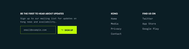 Kong Newsletter Preview