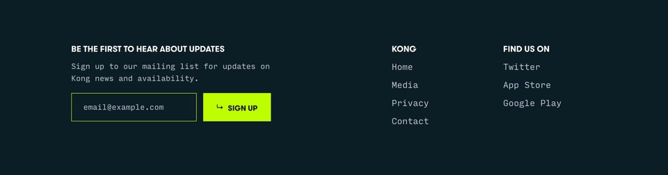 Newsletter section on Kong section design