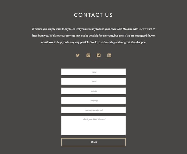 Wild Measure Contact Form Preview
