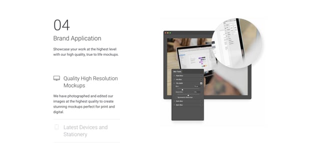 Straple Screenshots Section
