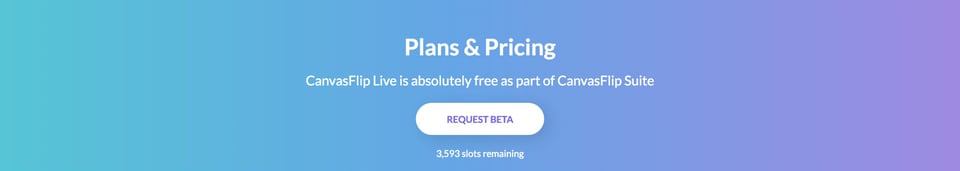 Call-To-Action Footer section on CanvasFlip Live section design