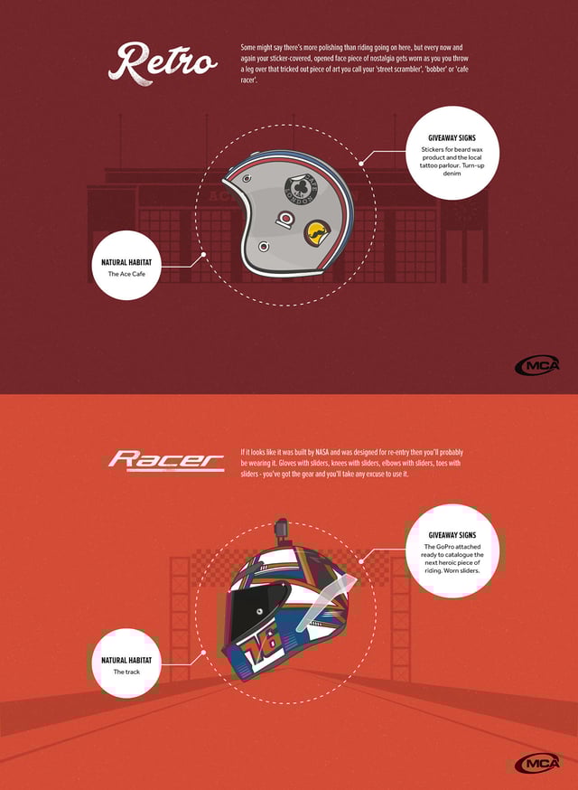 If The Lid Fits Infographics Preview