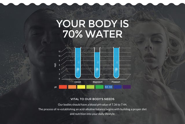 Ecobud USA Infographics Preview