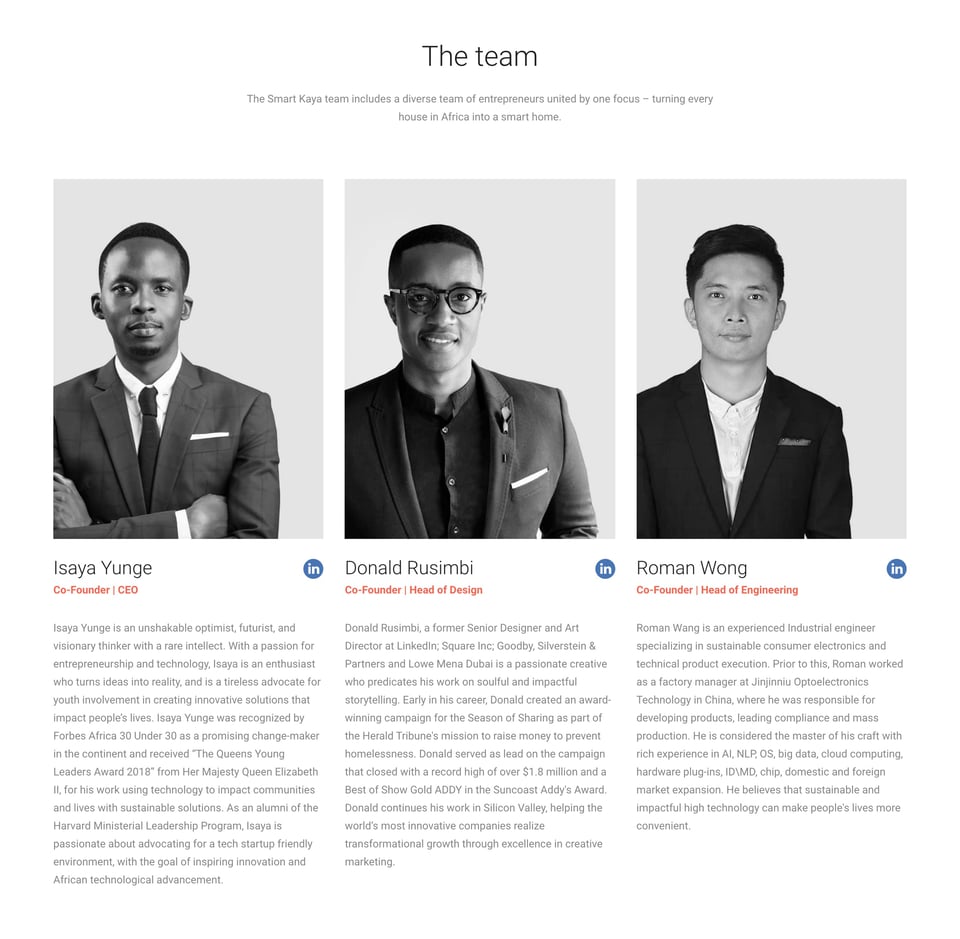 Team section on Smart Kaya section design