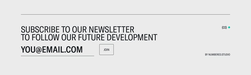 Newsletter section on Neoplants section design