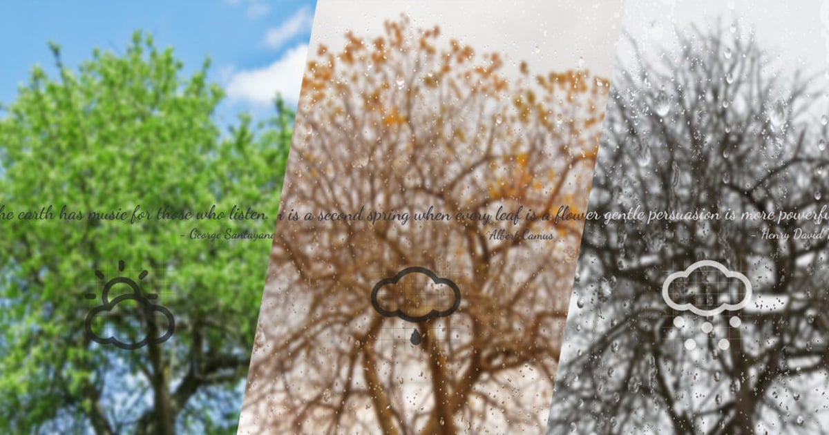 Rainyscope