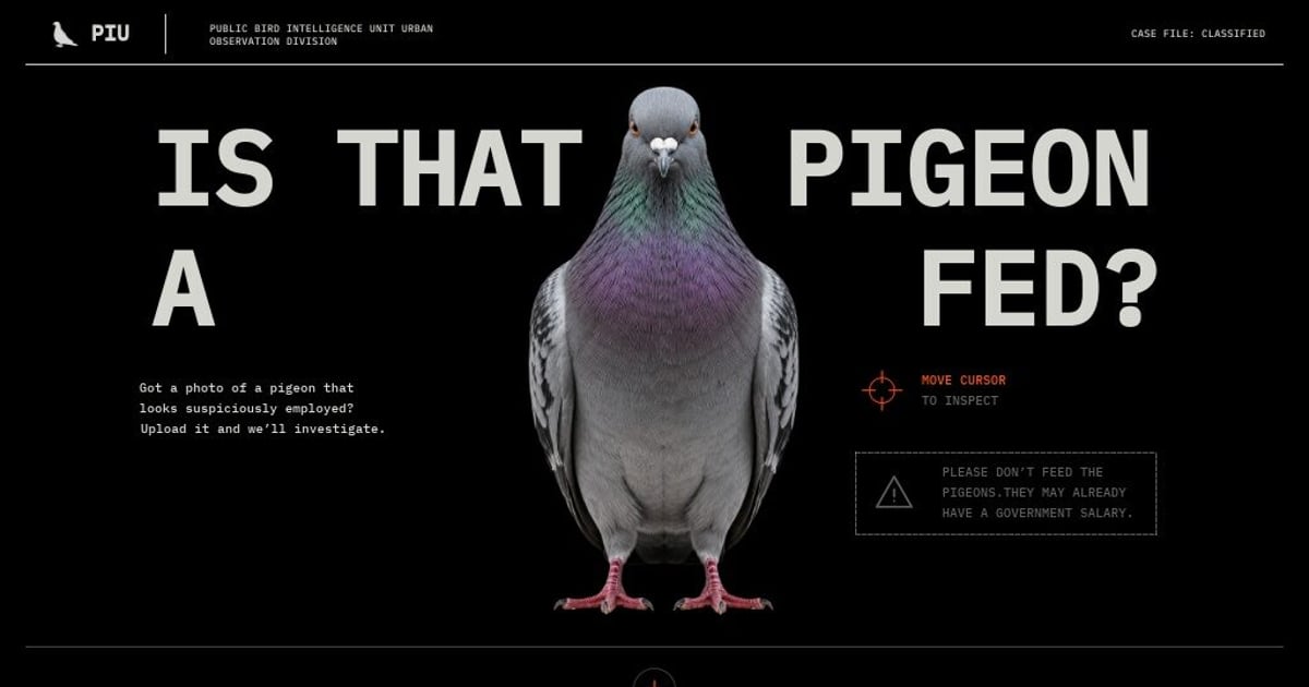 Is That Pigeon a Fed?
