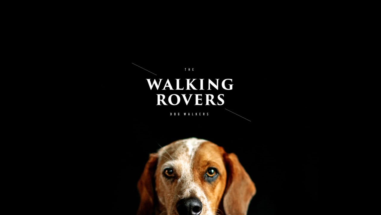 Rover Squarespace Template Screenshot