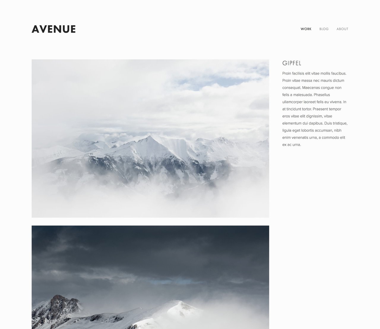 Avenue Template - Preview of the individual project layout with big images left and description right Screenshot