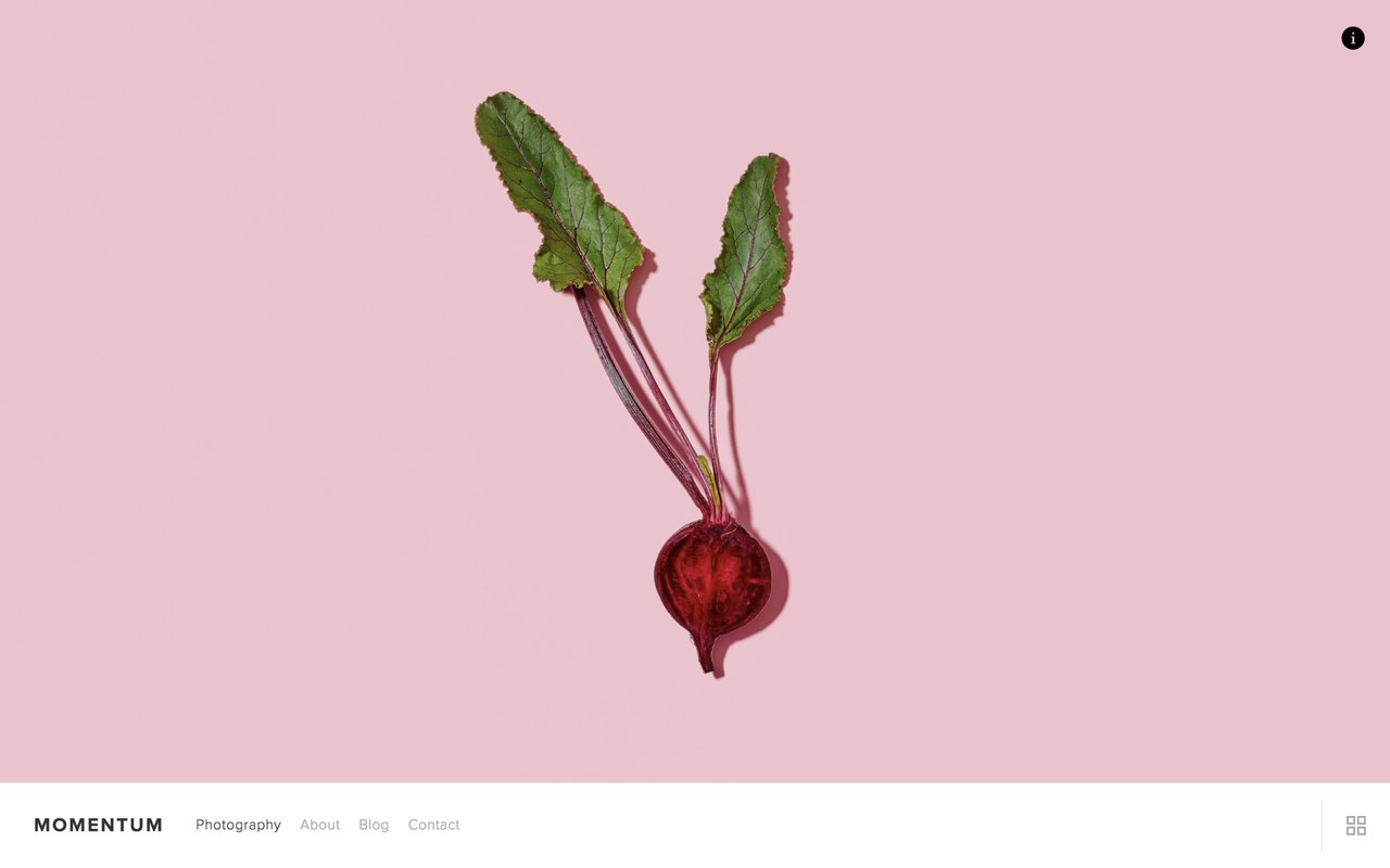 Momentum - Home Page showcases your latest project Screenshot