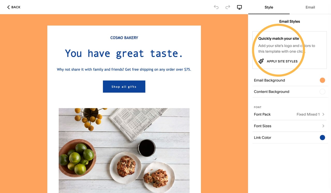 Apply your site styles to Email Campaigns Screenshot