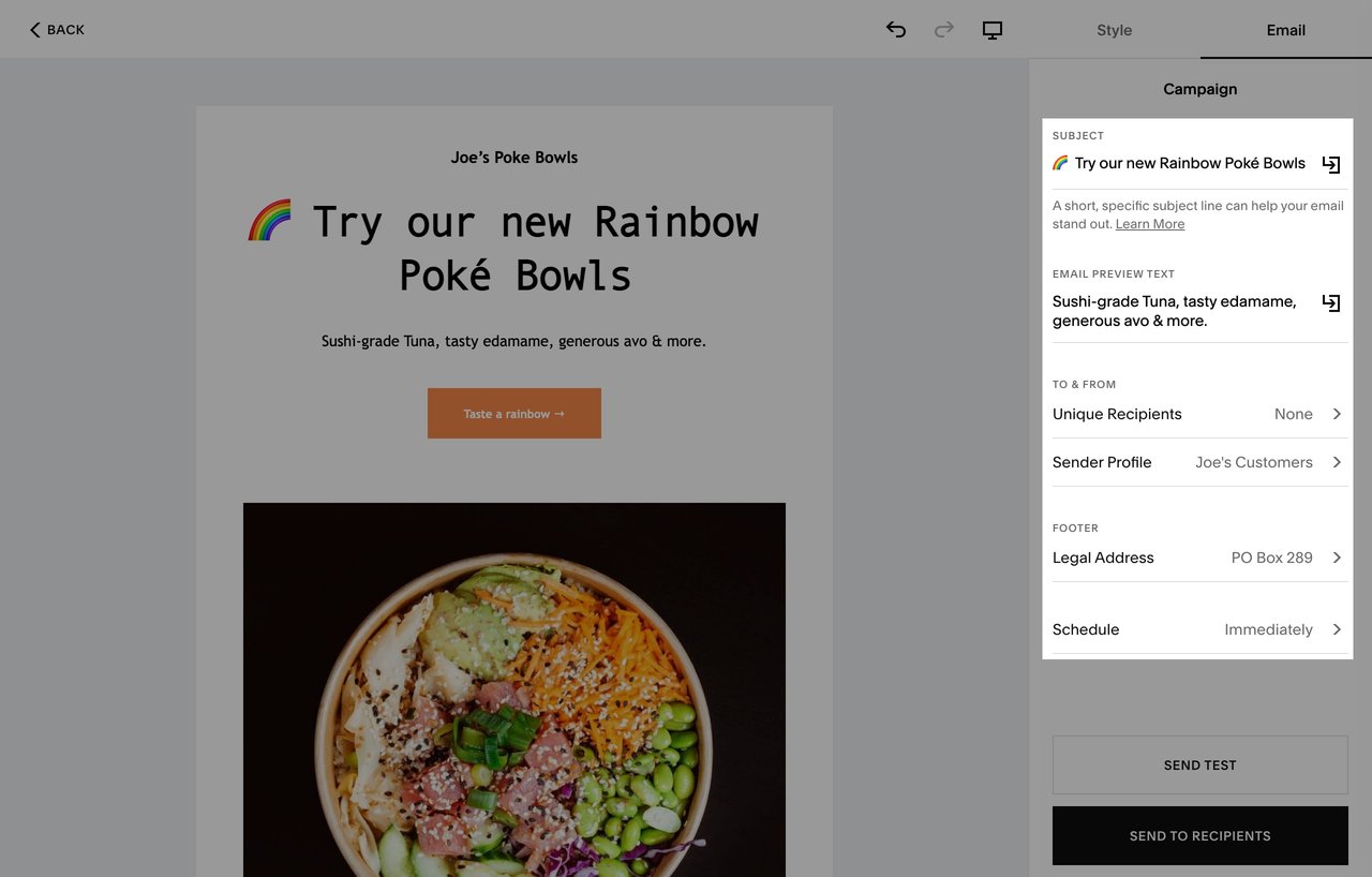 Squarespace Email Campaigns information panel Screenshot