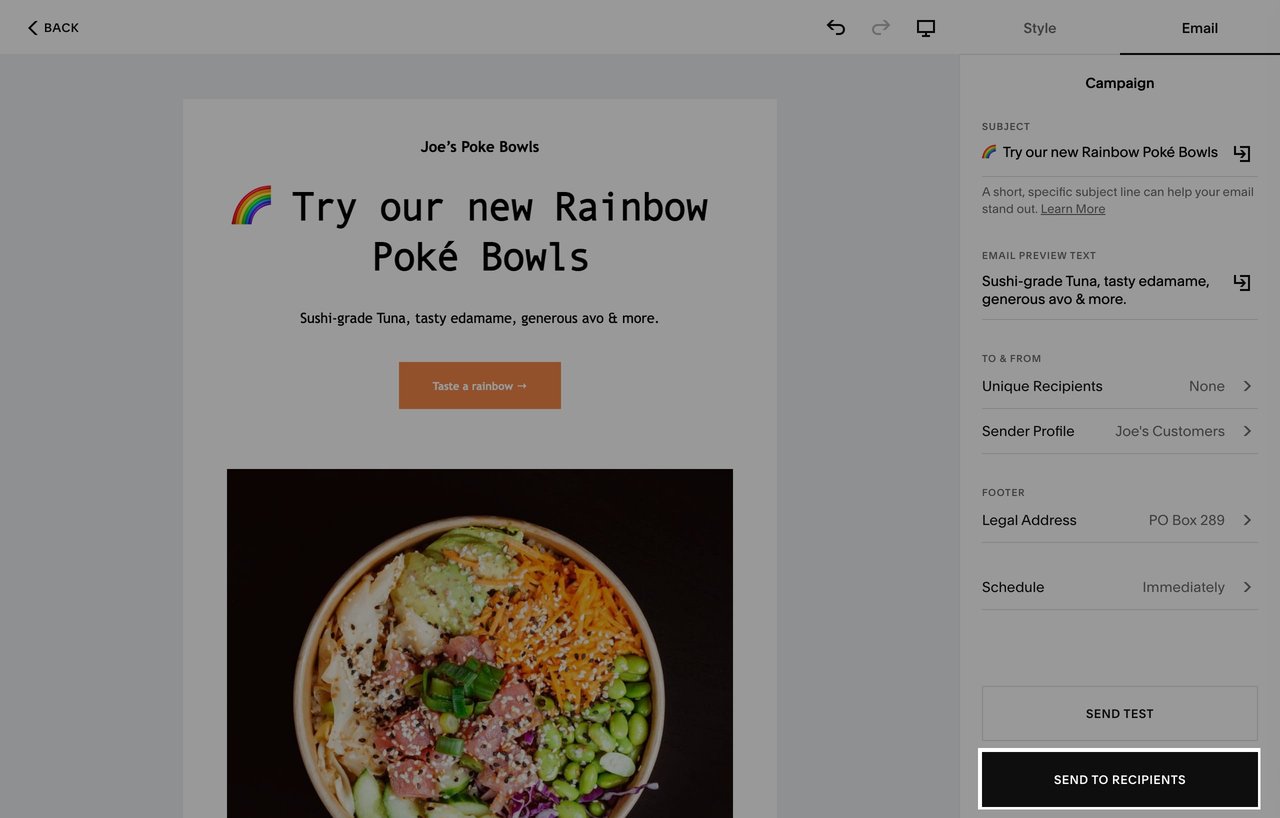 Send your Email Campaign Screenshot