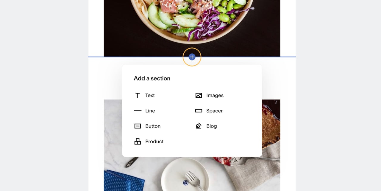 Click the blue plus icon to add new sections ranging from text Screenshot