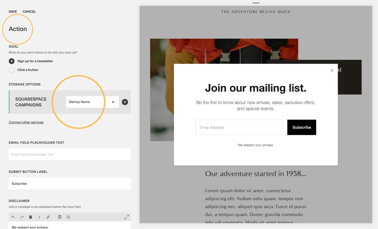 Promotional Pop-Up - Action settings Screenshot