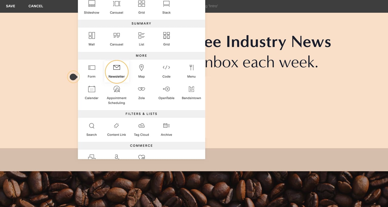 Inserting a Newsletter Content Block: Screenshot