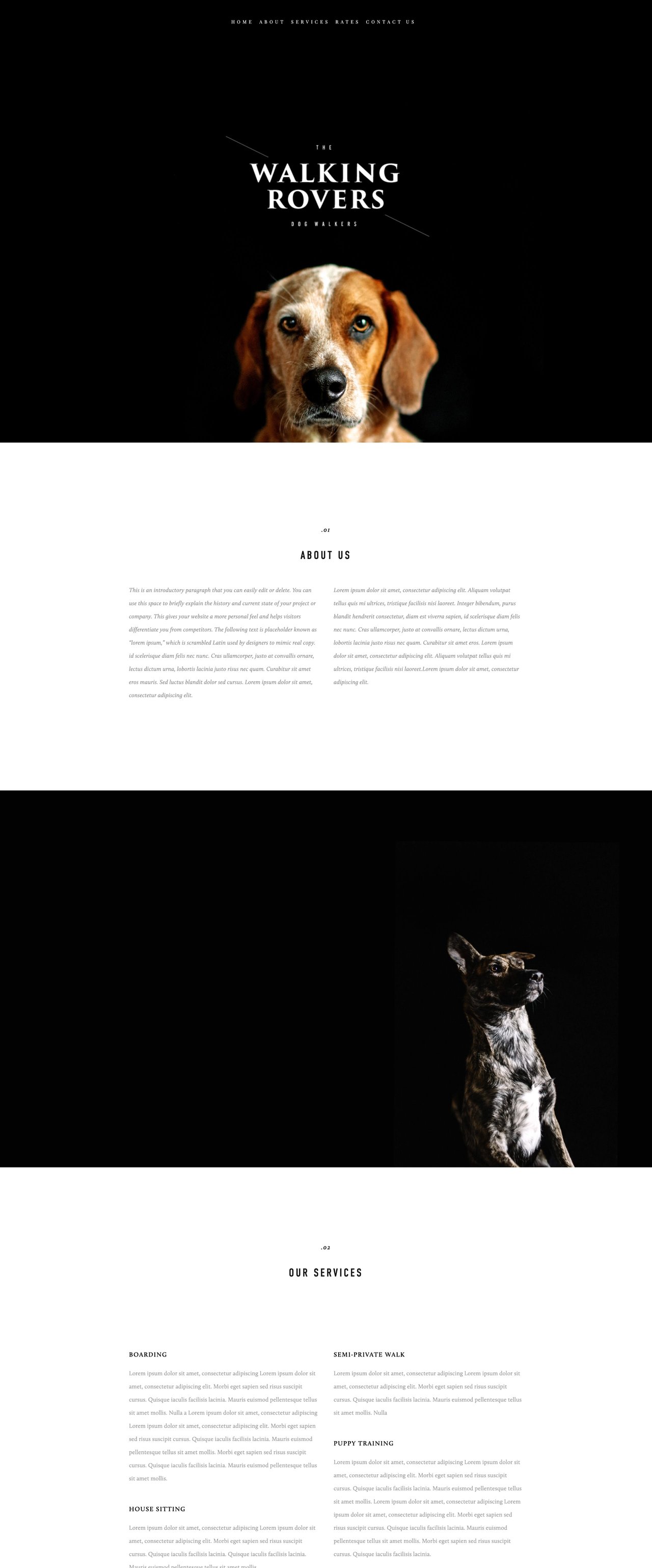 Rover Squarespace Template Screenshot