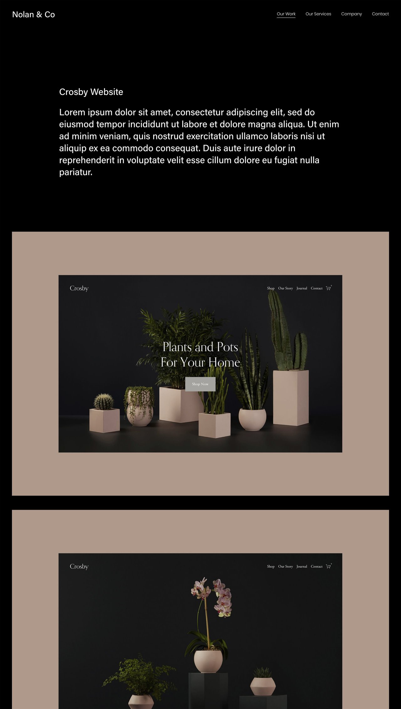 Squarespace Nolan Template - Portfolio Preview Screenshot