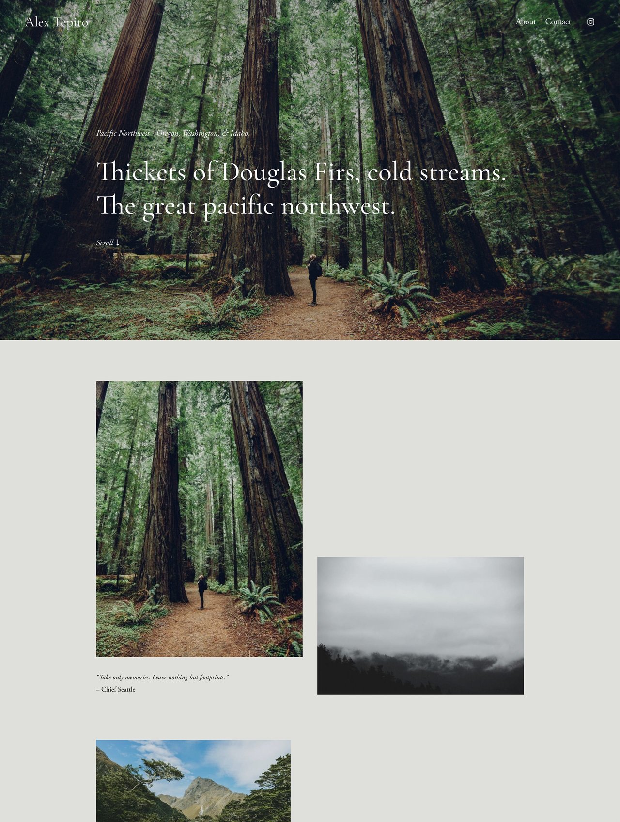 Tepito Template - Portfolio page Screenshot