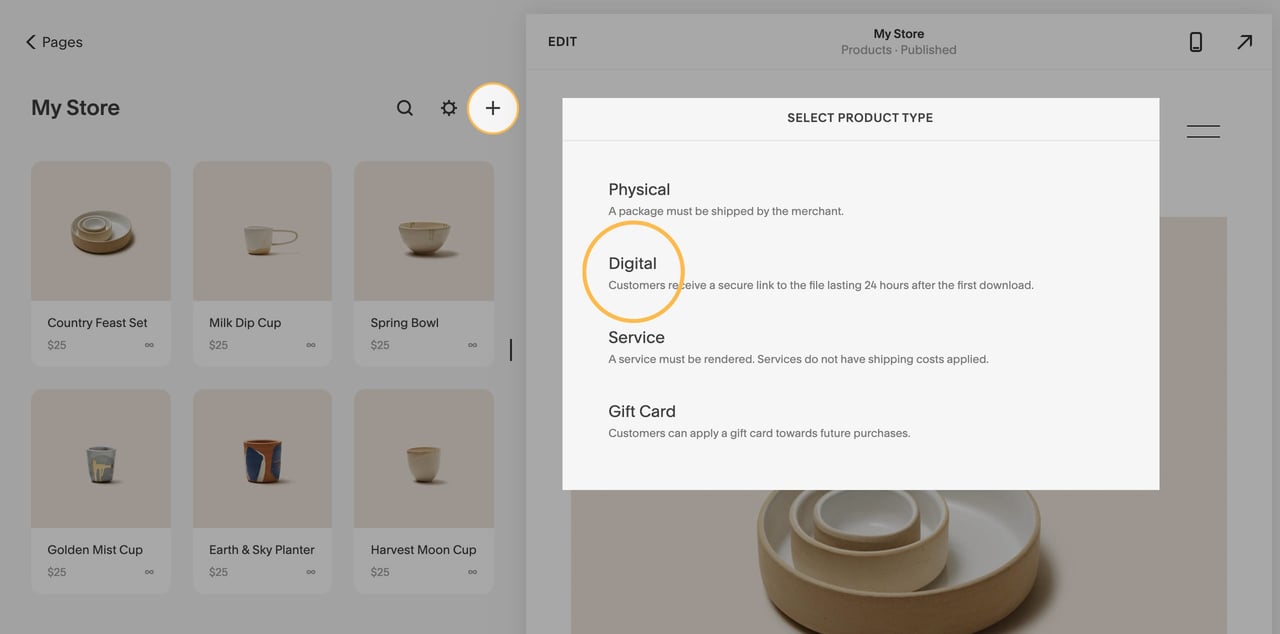 Squarespace digital products - product option Screenshot