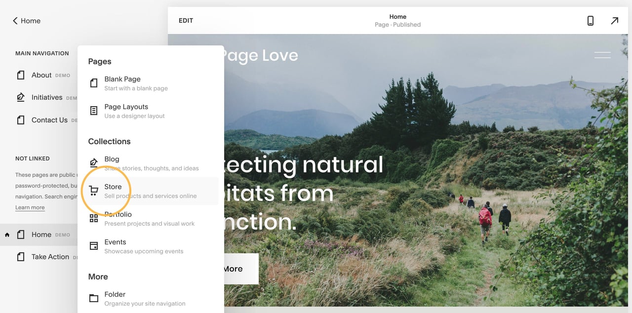 Adding a Squarespace store section Screenshot