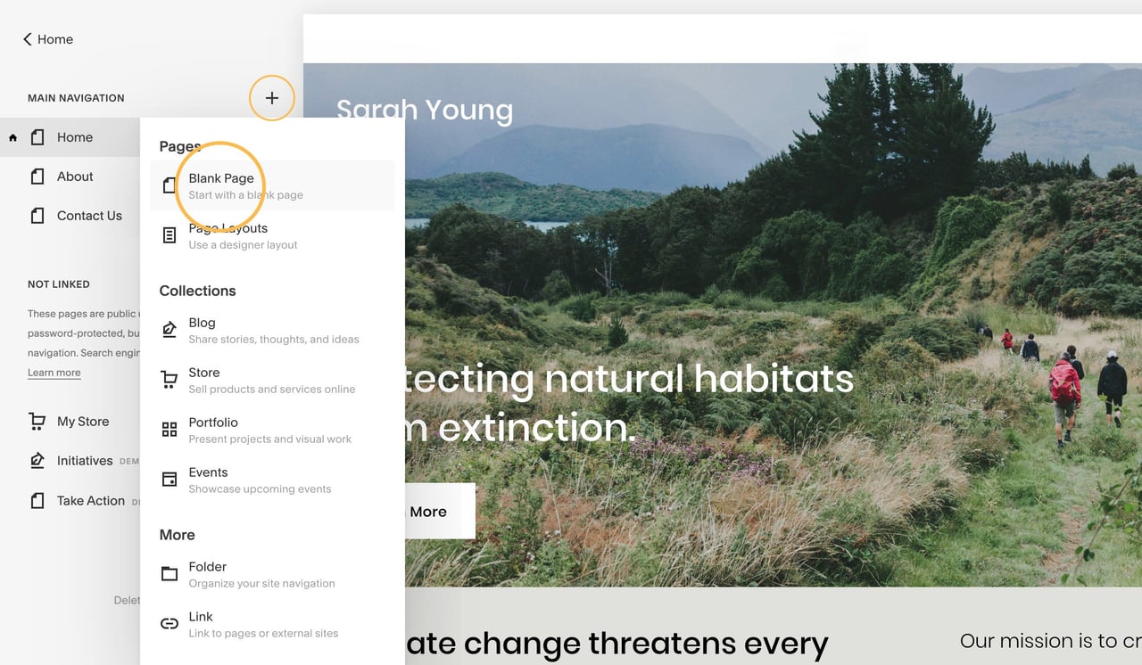 Select a blank Squarespace page Screenshot
