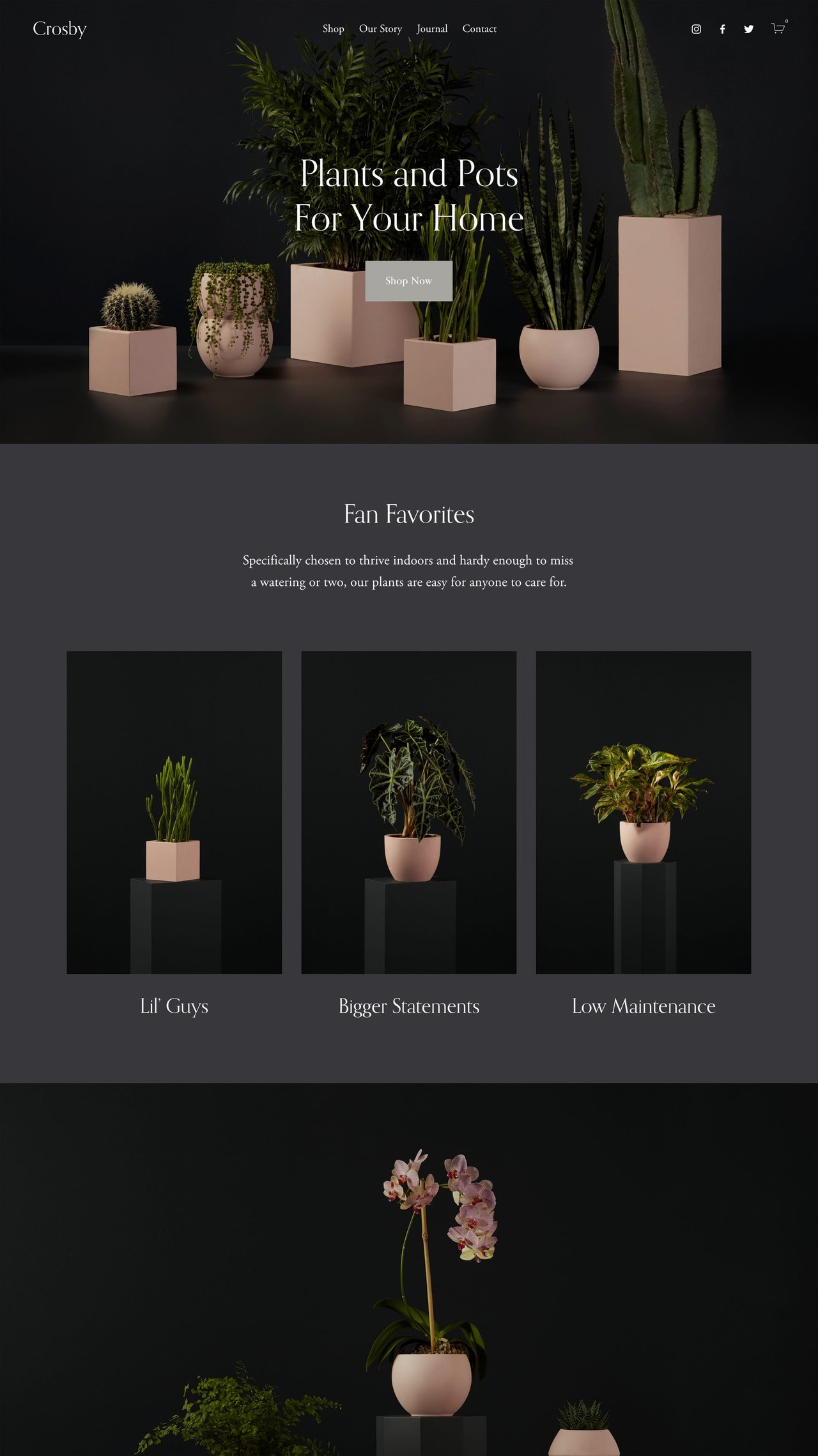 Squarespace Crosby Template - Home Preview Screenshot