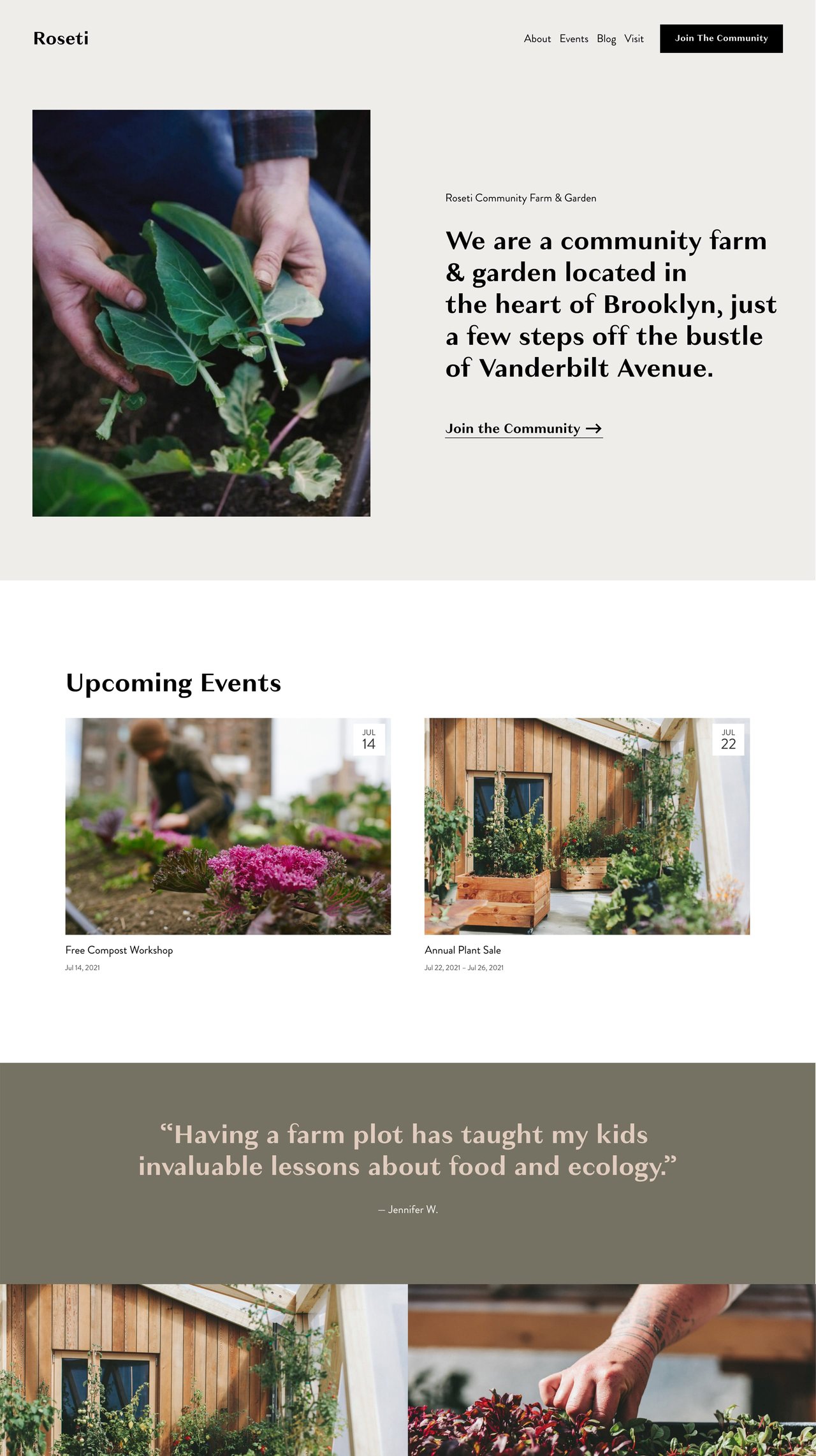 Squarespace Roseti Template - Home Preview Screenshot