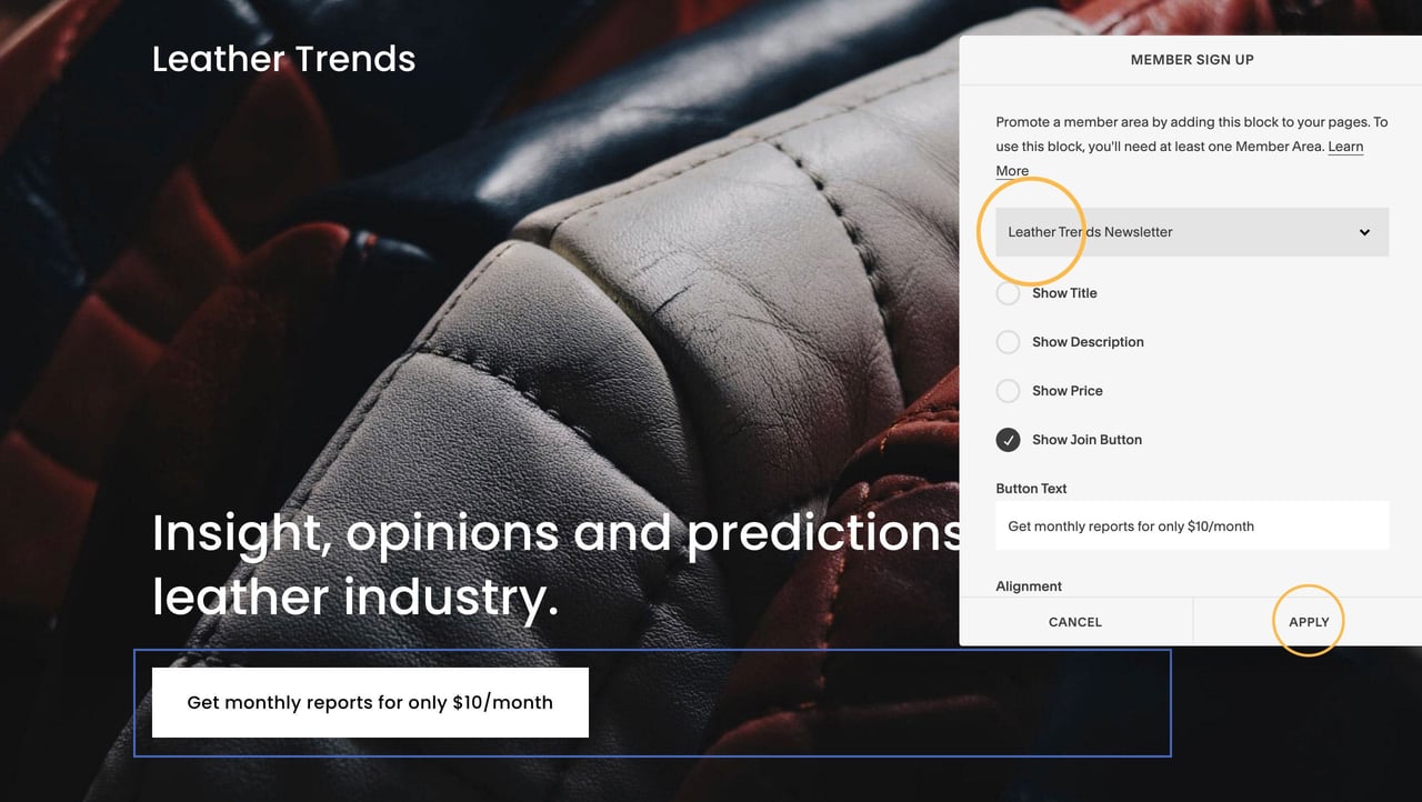 Customizing the Squarespace Member Areas sign up block Screenshot