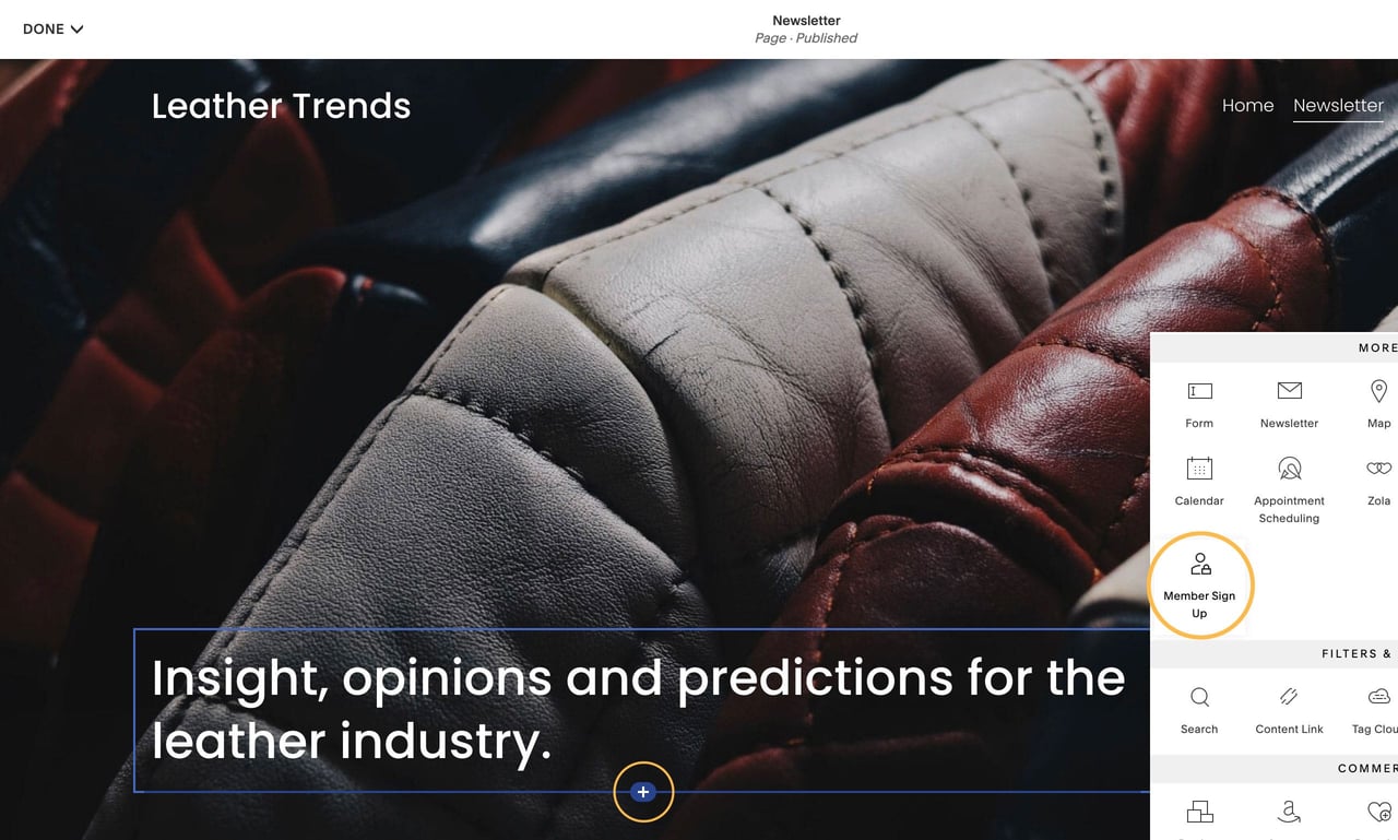 Inserting a Squarespace Member Areas sign up block Screenshot