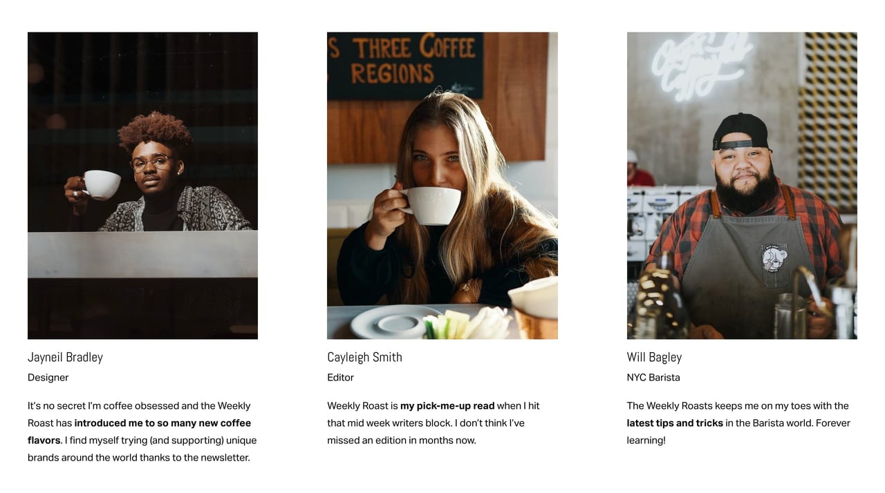 Highly curated newsletter landing page testimonials Screenshot
