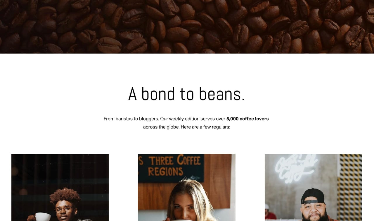 Newsletter landing page section heading Screenshot