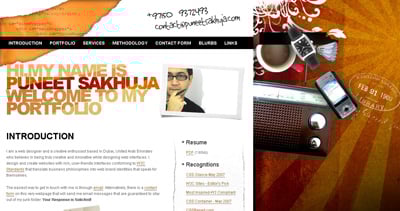 Puneet Sakhuja Website Screenshot
