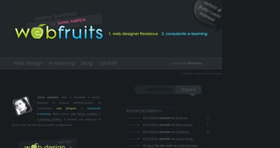 Sonia Anepeta Website Screenshot