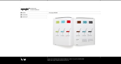 eyegix Website Screenshot