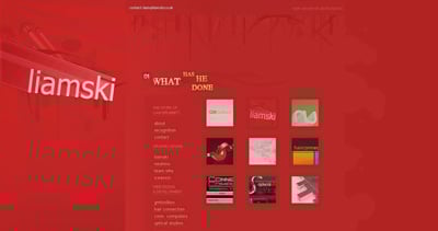 liamski Website Screenshot