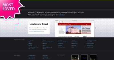 Digitaloop Website Screenshot